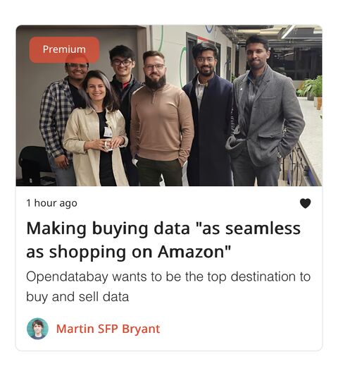 Portfolio Preview 5